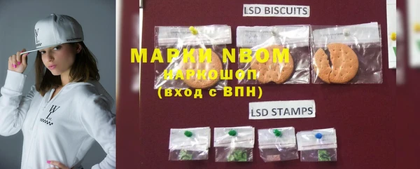 PSILOCYBIN Михайлов