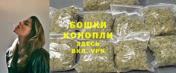 ГАЛЛЮЦИНОГЕННЫЕ ГРИБЫ Михайловск