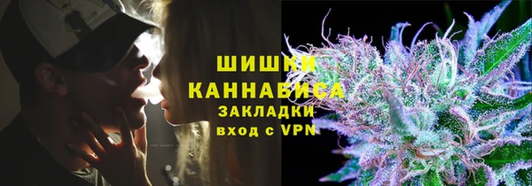 PSILOCYBIN Михайлов
