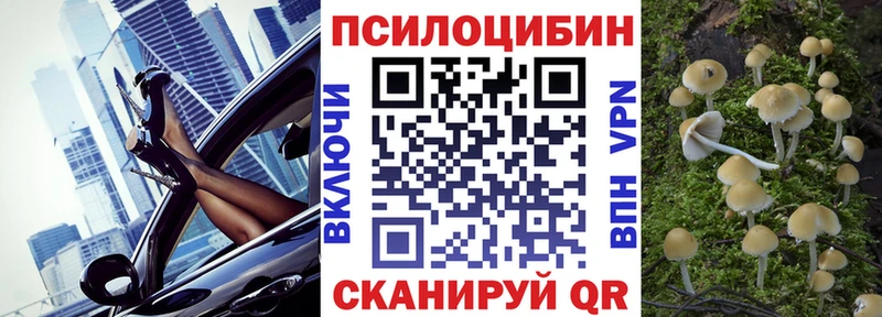 Псилоцибиновые грибы Psilocybe  где купить наркотик  Реутов 
